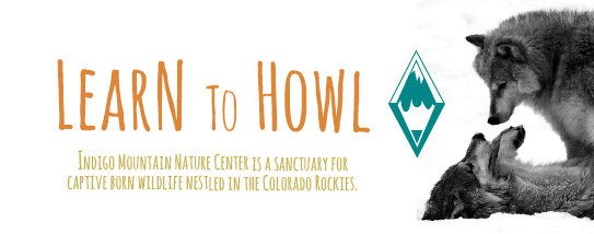 Screen Shot 2013-04-22 at 12.53.08 PM