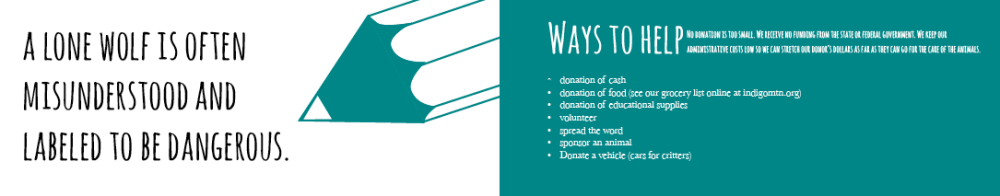 Screen Shot 2013-04-22 at 12.54.12 PM