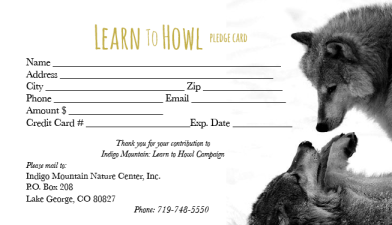 Screen Shot 2013-04-22 at 12.56.40 PM